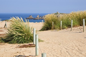 dune peninsule de quiberin